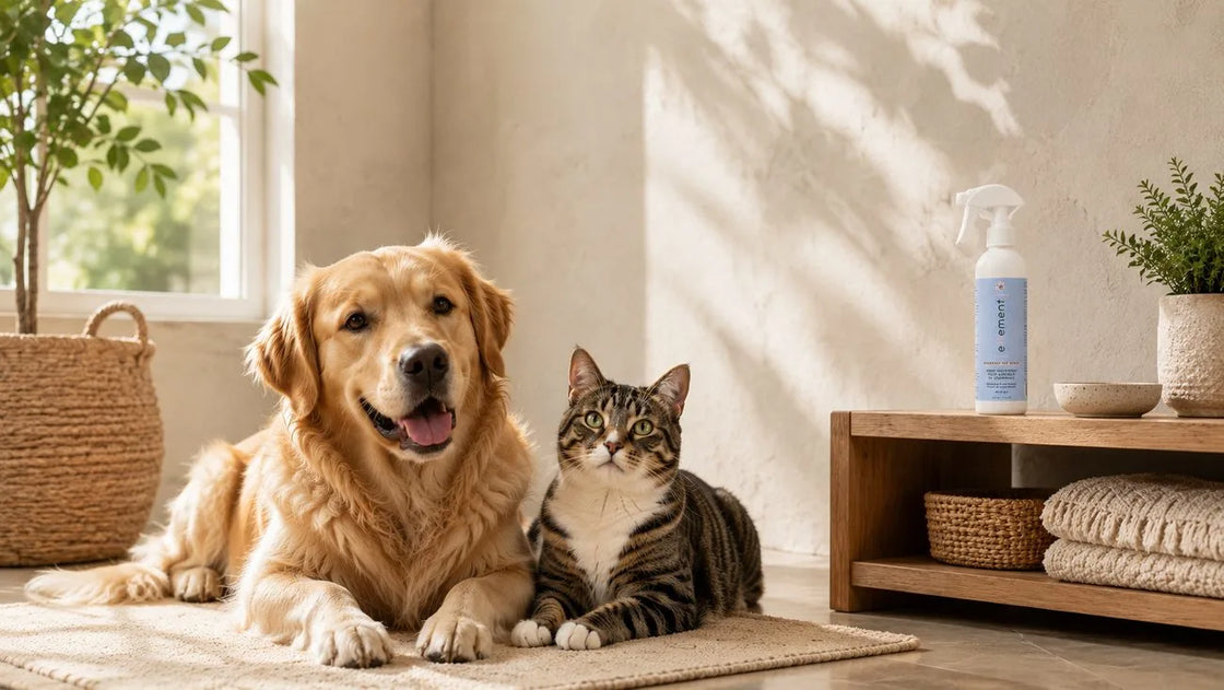Hypochlorous acid spray pets