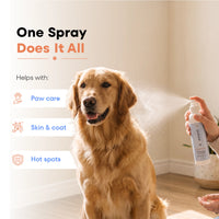 Dog grooming pet spray